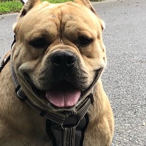 Meet your Posher, Rob